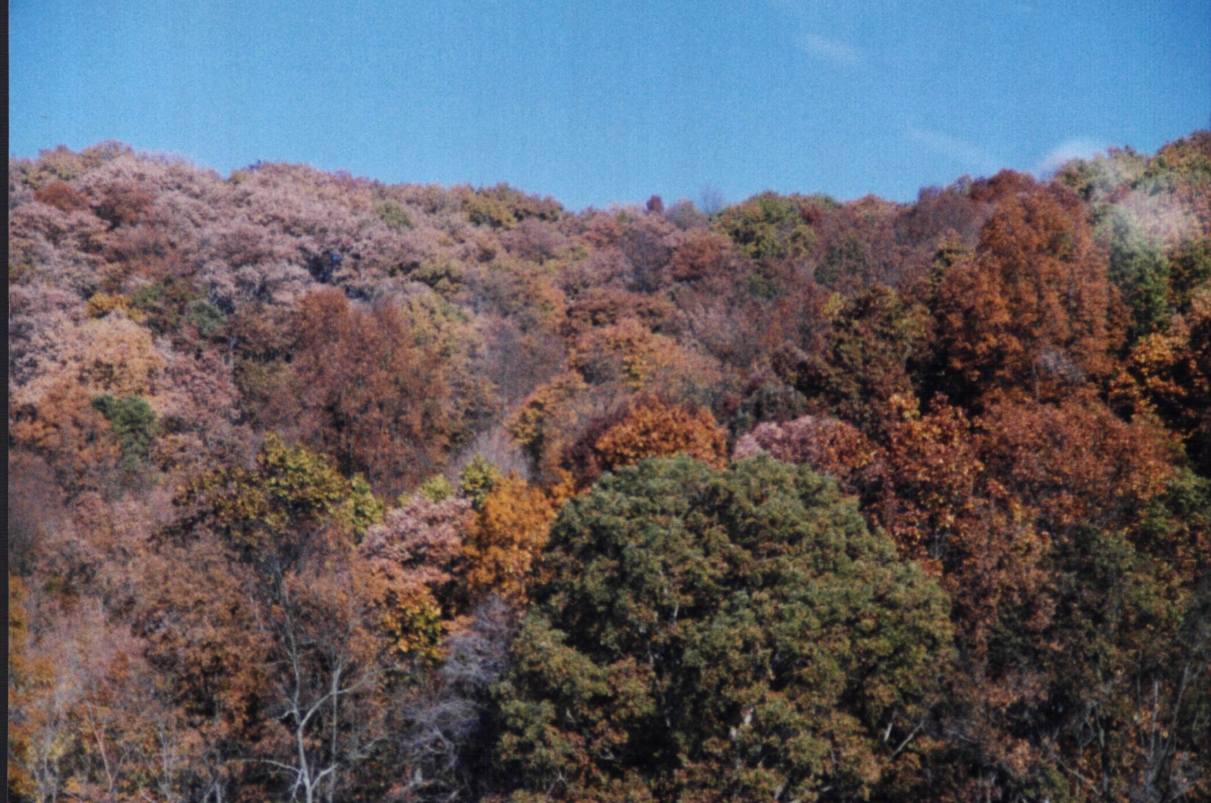 kentuccolor